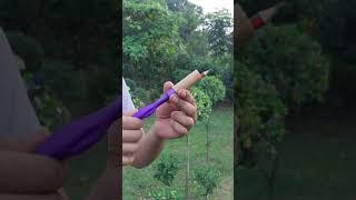 DIY Bamboo Creation with Colourful Balloon And pencil Slingleshot #Diy #Slingshot #Bamboo