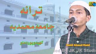 Osaiad Ahmad Osaid ترانہ Jalsa Dastar Bandi Jamia Mohammadia Khedupura Mau 04-03-2024 JK Studio Mau