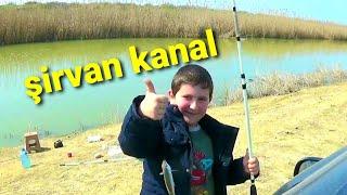 Balıq ovu ŞİRVAN KANAL