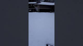 Shortest Video Ever-Snowing in Western Washington...