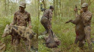 Hog Hunting in the Swamp