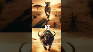 Cheetah vs Buffalo (lion, trex, cheetah, tiger)#animals #cheetah #lion #tiger #trex #shorts