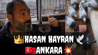 KÜMES ZİYARETİ GÜVERCİN OYUN KUŞU HASAN HAYRAN ANKARA