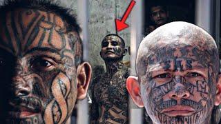 Satanic Gangs: MS-13