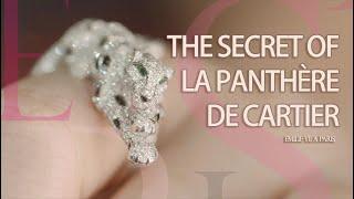 The secret of La Panthère de Cartier 解锁卡地亚豹子的秘密