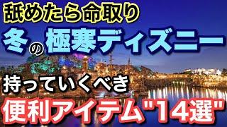 [解説]2024.12月以降冬ディズニー行く方向け舐めたら終わる...忘れたら困る必需品14選！