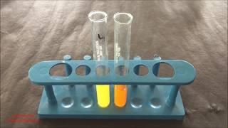 Phytochemical Test for Flavonoid  | Flavonoid Identification Test | Flavonoid Test | ENGLISH