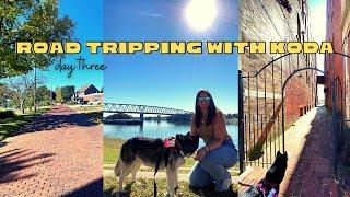 Koda's Bucket List Road Trippin' with Koda!   Exploring Marietta, OH