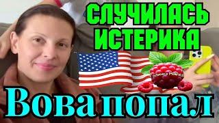 Big Big Family in the USA /Случилась Истерика /Вова попал /Обзор /Жизнь в Америке /США Vlog