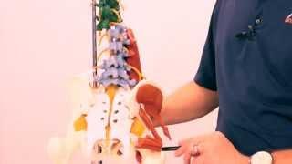 Airrosti Treatment: Sciatica Pain