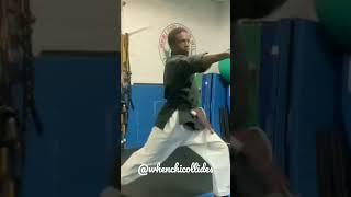 WhenChiCollides Kata jiujitsu