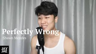 Perfectly Wrong Shawn Mendes | Jay Jae's Cover