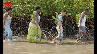 Side by Side: Environmental Conservation in Fiji