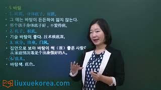 韩语学习 Learn Korean 第二十讲 TOPIK 高级词汇 名词 20 (-토픽 고급단어 명사)