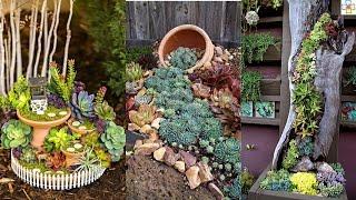 23 Awesome Succulent Porch Garden Ideas to Boost Curb Appeal