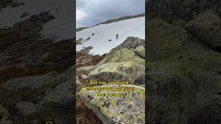 Экстремальный спуск 