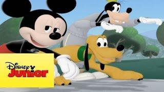 La pelota de Pluto | Mousekejercicios | La casa de Mickey Mouse