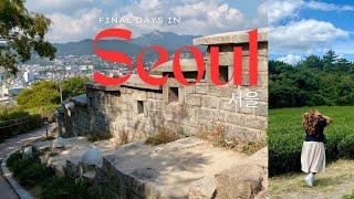 Korea Diaries | Final days in Seoul ft a day in Busan 🪷