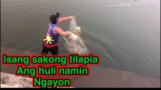 Ofw life cast net fishing sobrang dami ng tilapia(taiwan river)