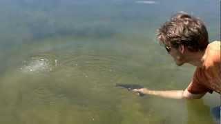 taurus pt92 9mm pistol firing underwater