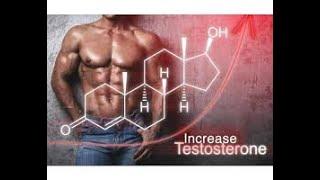 Increase Testosterone and Erections Naturally (Biohacking) - Ergogenic Health