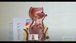 Кабинет проктолога в Оксфорд Медикал Кривой Рог