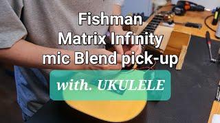 피쉬맨 매트릭스 인피니티 마이크 블렌드 리뷰 (Fishman Matrix Infinity Mic Blend Review)