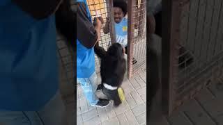 Laugh Lab"  subscribe 