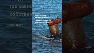 Cъедает железо Про жизнь цитаты #цитаты #цитата #прожизнь #мудрость #цитатадня #интеллект #тост#мозг