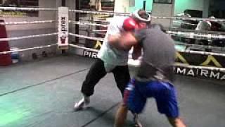 fernando castañeda vs saul canelo alvarez sparring