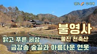 [사찰기행] 불영사 경북 울진 천축산, 맑고 푸른 세상, 금강송 숲길과 아름다운 연못, Korean Temples #Buddhism #meditation #peace