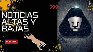 Noticias y rumores, altas y bajas de Pumas. 16 de Diciembre #pumas #ligamx #futbol