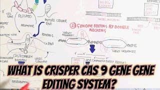 What is CRISPER CAS9,Gene Editing System? @umerfarooqbiology7083