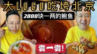 2888一两的鲍鱼！大Logo带你们尝一尝！【大Logo吃垮北京】