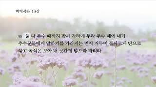 2020 옥인교회 한달 신약통독, 마태복음 12장-20장