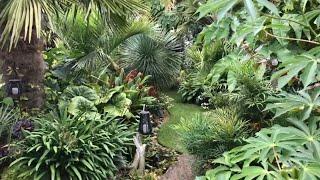 Springy Steve’s Exotic Garden September 8th 2019