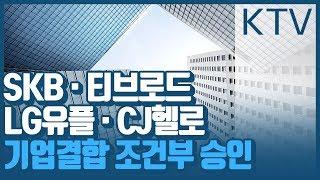 SKB·티브로드·LG유플·CJ헬로 기업결합 조건부 승인