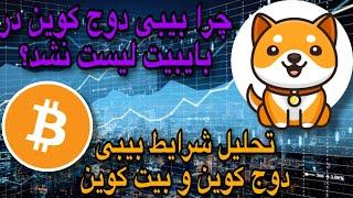 چرا بیبی دوج کوین در بایبیت لیست نشد؟ | تحلیل شرایط بیبی دوج کوین و بیت کوین