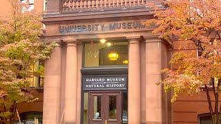 Harvard Museum of Natural History