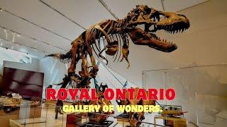 4K Tour of the Royal Ontario Museum | Full Walkthrough in Toronto, Canada|  Fossils & More