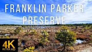 FRANKLIN PARKER PRESERVE - Hiking the Red Trail - Exploring the New Jersey Pine Barrens