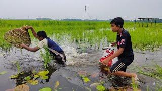 গ্রামের বিলে অসাধারণ  মাছ  শিকার ️‍🩹polo fishing video #polofishing #amazing_fishing #fish_video