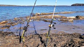 These SIMPLE TIPS Catch TONS OF CATFISH!! (Bank Fishing)