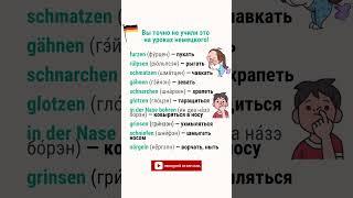 Вы точно не учили эти глаголы на уроках немецкого! 