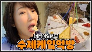 #EP45  케잌아일랜드 10가지맛 리뷰! (feat. 사장님 인터뷰) #cake #케잌아일랜드 #분당동 #수제케잌