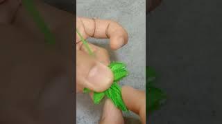 easy paper quilling leaves for beginners  #quillingart #papercraft #diy