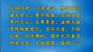 無量壽經有聲書 定弘法師讀誦