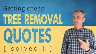 How to Get Cheaper Tree Removal Quotes