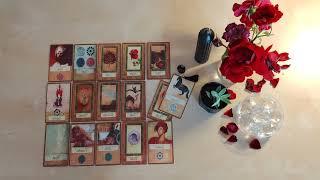 Katina Destesi ile ilişki açılımı #tarot #desteseç #zamansız