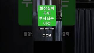 화장실에 이것 두면 부자되는 5가지 #풍수 #풍수인테리어